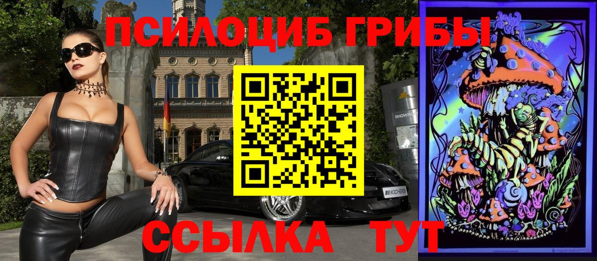 Моздок  Галлюциногенные грибы GOLDEN TEACHER  Вход с VPN 